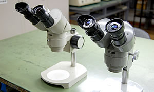 Nikon 双眼顕微鏡